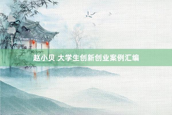 赵小贝 大学生创新创业案例汇编
