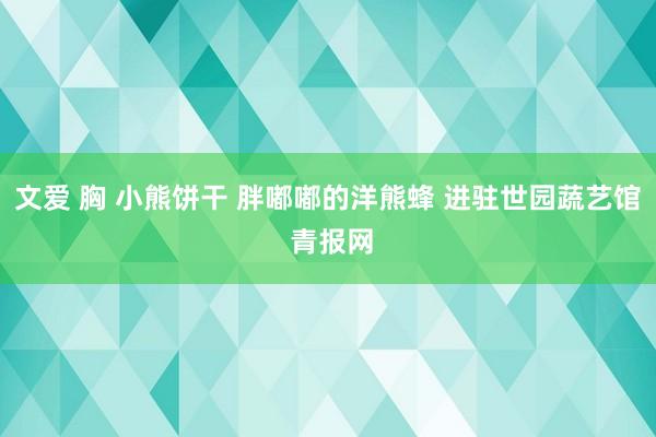文爱 胸 小熊饼干 胖嘟嘟的洋熊蜂 进驻世园蔬艺馆 青报网