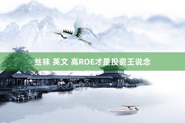丝袜 英文 高ROE才是投资王说念