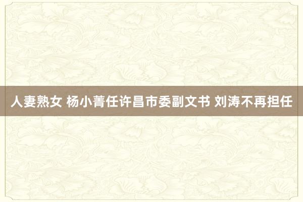 人妻熟女 杨小菁任许昌市委副文书 刘涛不再担任
