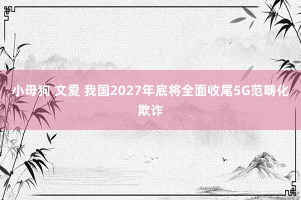 小母狗 文爱 我国2027年底将全面收尾5G范畴化欺诈