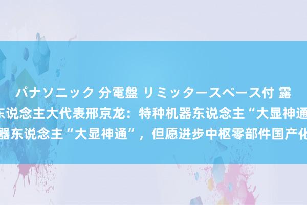 パナソニック 分電盤 リミッタースペース付 露出・半埋込両用形 宇宙东说念主大代表邢京龙：特种机器东说念主“大显神通”，但愿进步中枢零部件国产化能力