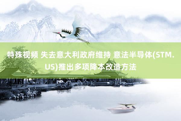 特殊视频 失去意大利政府维持 意法半导体(STM.US)推出多项降本改造方法
